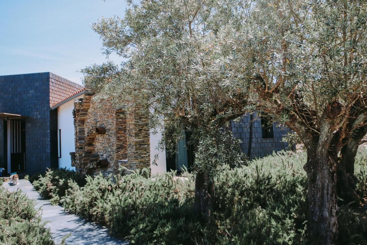 Marvão Casas Da Fontanheiraゲストハウス エクステリア 写真